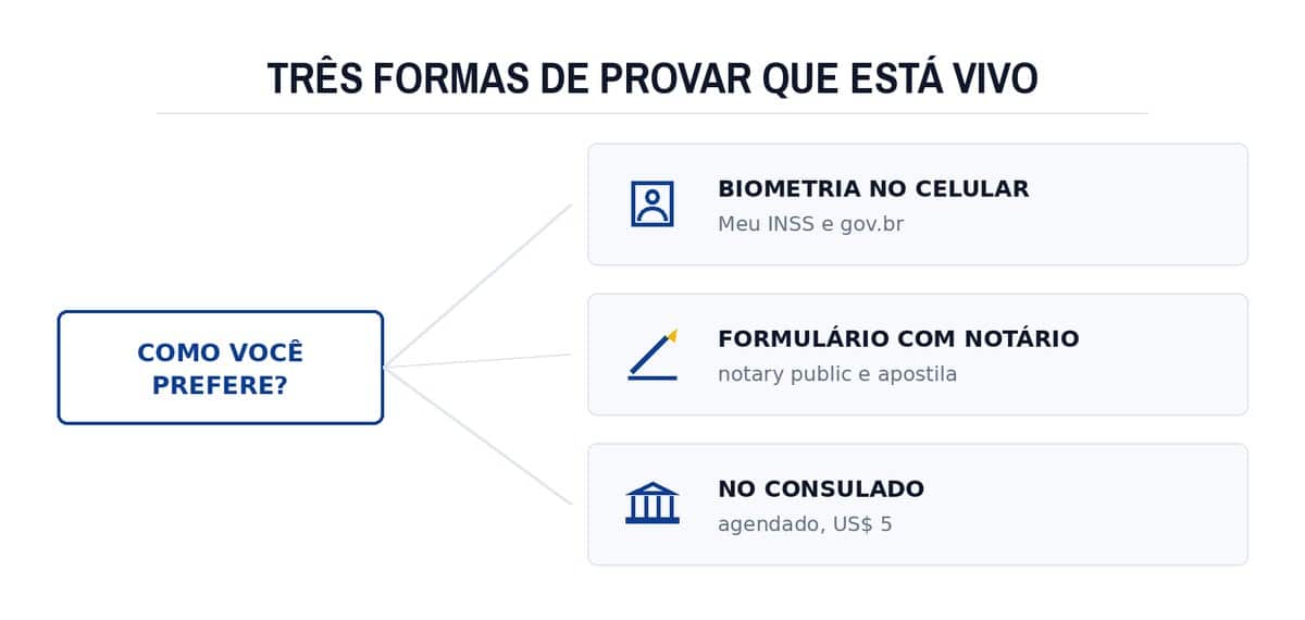 Três formas de provar que está vivo